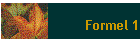 Formel 1