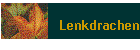 Lenkdrachen