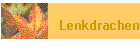 Lenkdrachen
